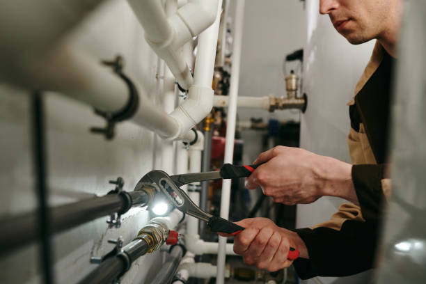 Best Best Plumbers Near Me  in Dewitt, IA
