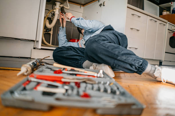 Best Affordable Plumber Near Me  in Dewitt, IA