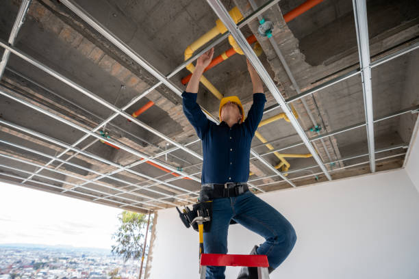 Best Plumbing Services Near Me  in Dewitt, IA