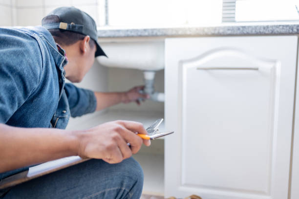 Best Local Plumber Services  in Dewitt, IA