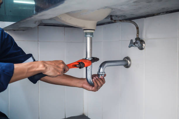 Best Sewer Cleaning Services  in Dewitt, IA